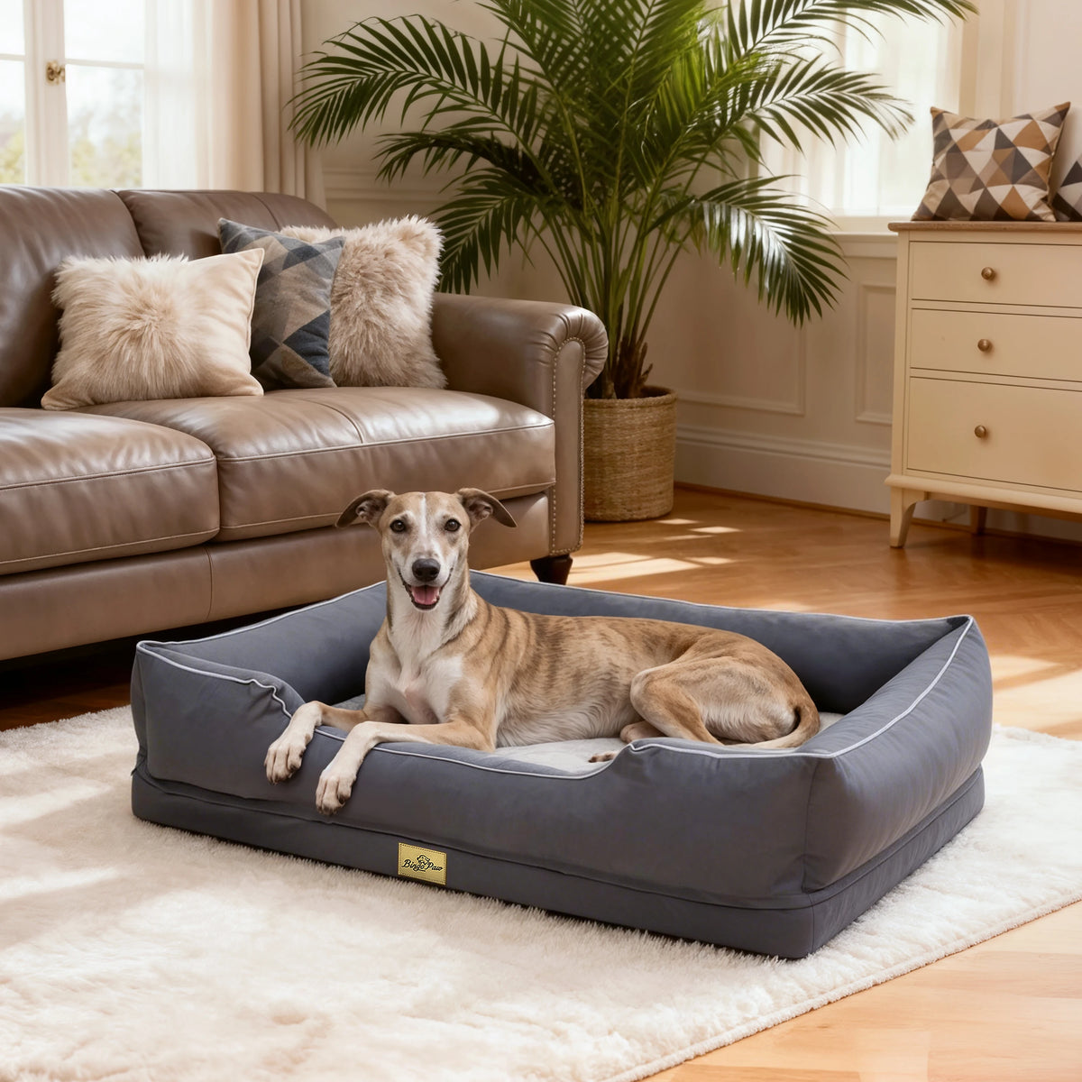 BingoPaw Orthopedic Bolster Dog Bed With Removable Washable Cover