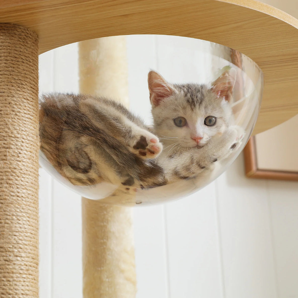 Pawz Multi Level Cat Tower With Scratching Posts Hammock