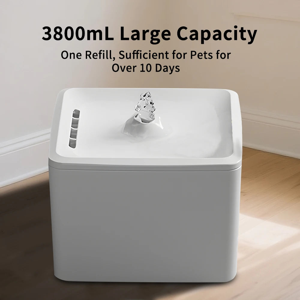 Square Pet Water Feeder With Removable Bowl And Silent Filter