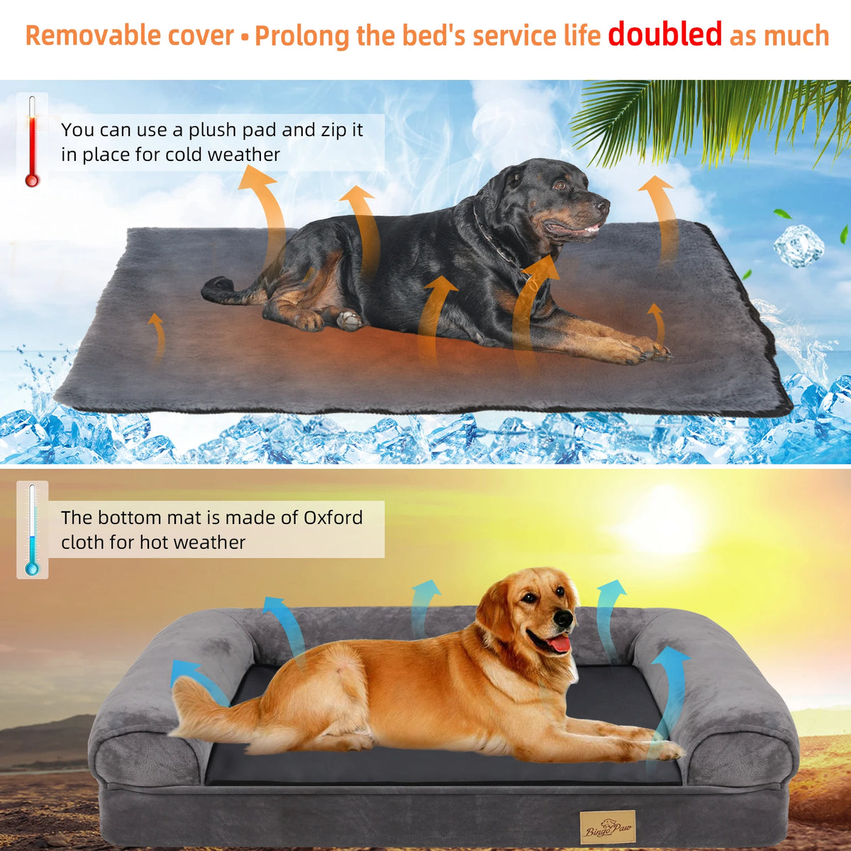 Bingopaw Orthopedic Waterproof Sided Dog Bed With Removable Cover