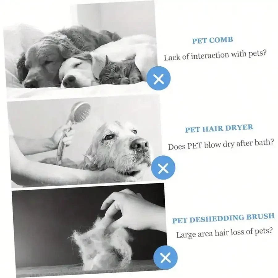 Professional Pet Hair Dryer With Adjustable Speed And Brush