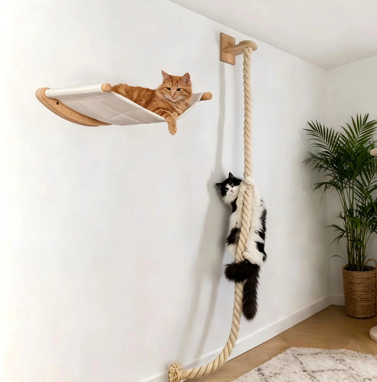 CWV Wall Mounted Cat Hammock With Climbing Shelves And Scratcher