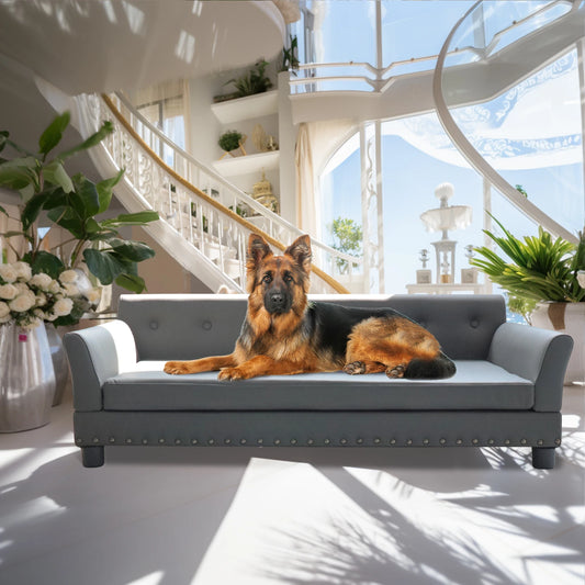 BINGOPAW Durable Rectangular Elevated Leather Dog Sofa Bed