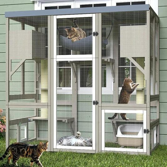 Outdoor Walk In Cat Enclosure And Secure Catio House