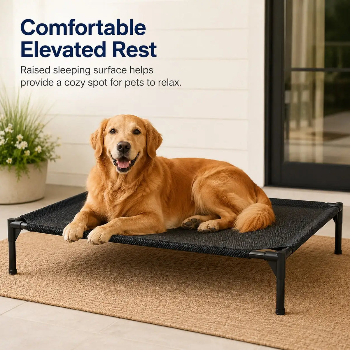 Elevated Breathable Mesh Pet Cot For Dogs And Cats
